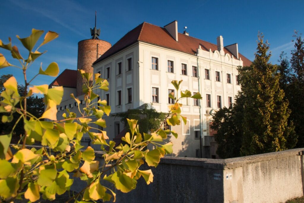 Muzeum Archeologiczno Historyczne w Glogowie