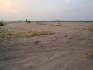 Pustynia Błędowska