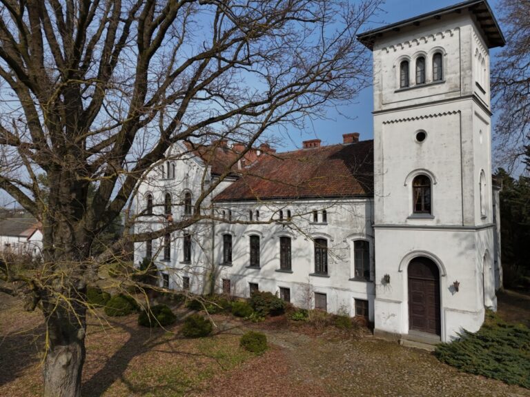 Pałac w Osiece
