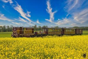 Nadmorska Kolej Wąskotorowa