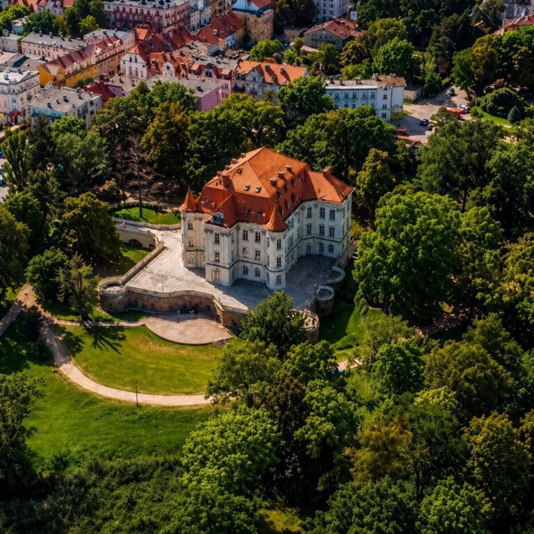 Zamek w Leśnicy