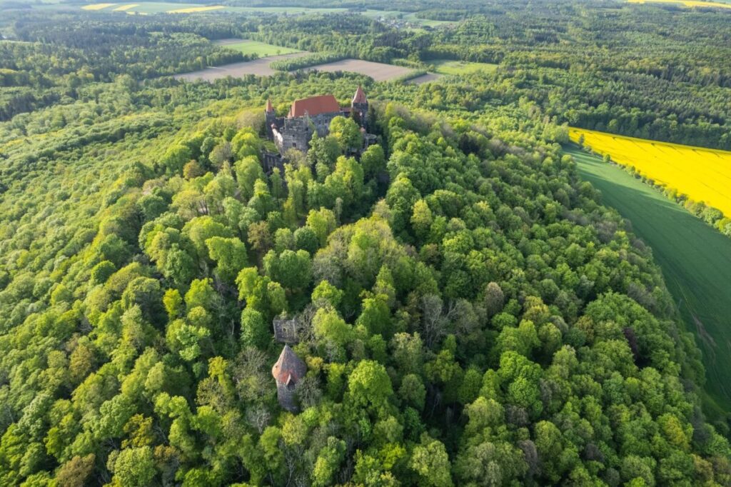Grodziec