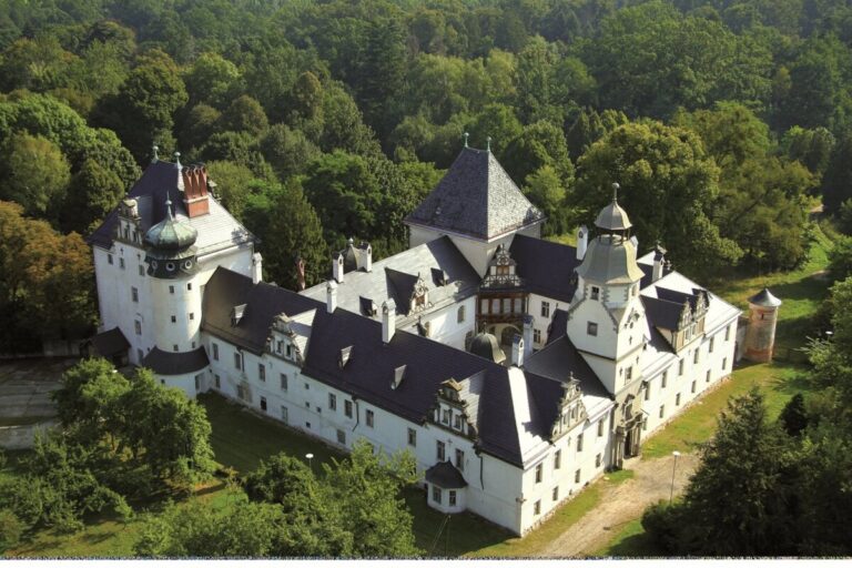 Zamek w Dąbrowie